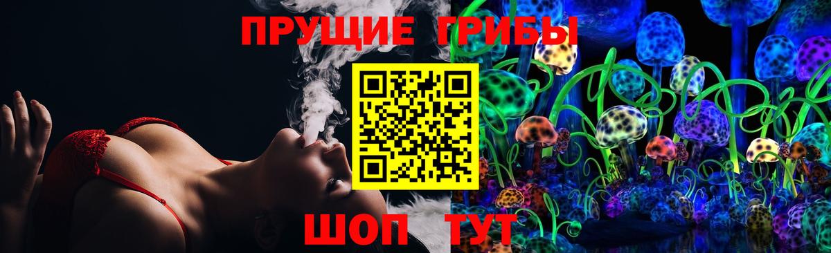 закладка  Вход с VPN  Галлюциногенные грибы GOLDEN TEACHER  Обь  Псилоцибиновые грибы GOLDEN TEACHER 